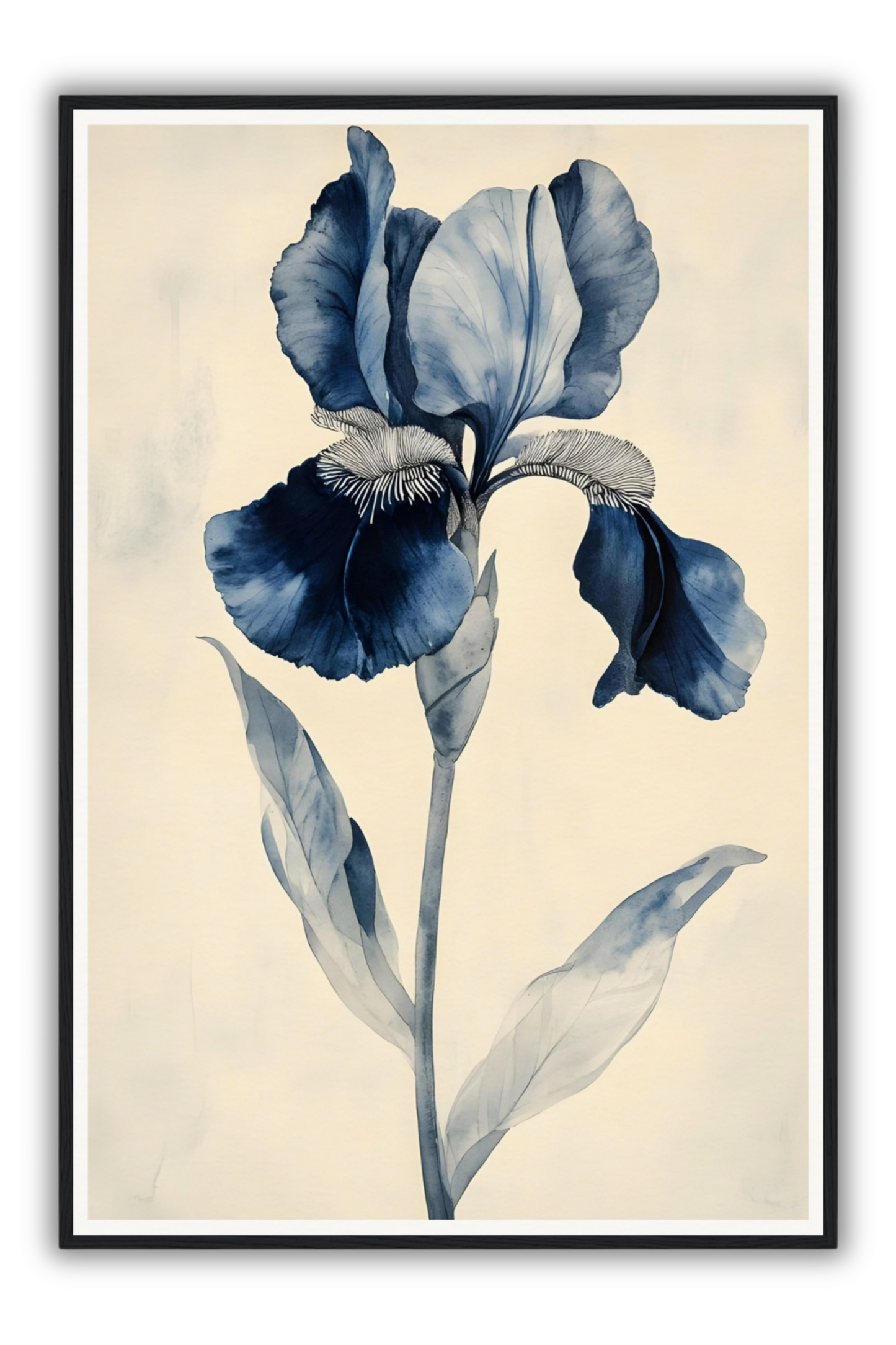 The Black Iris