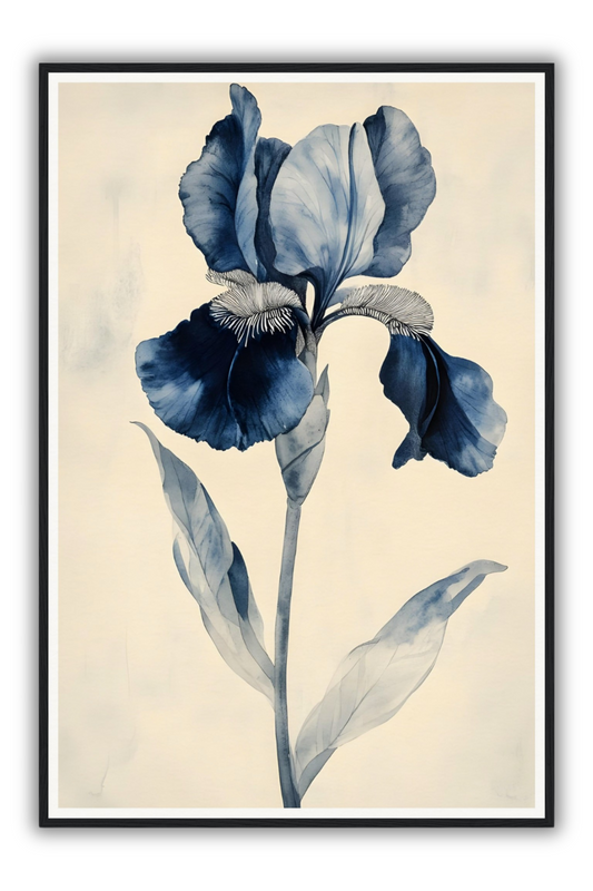 The Black Iris