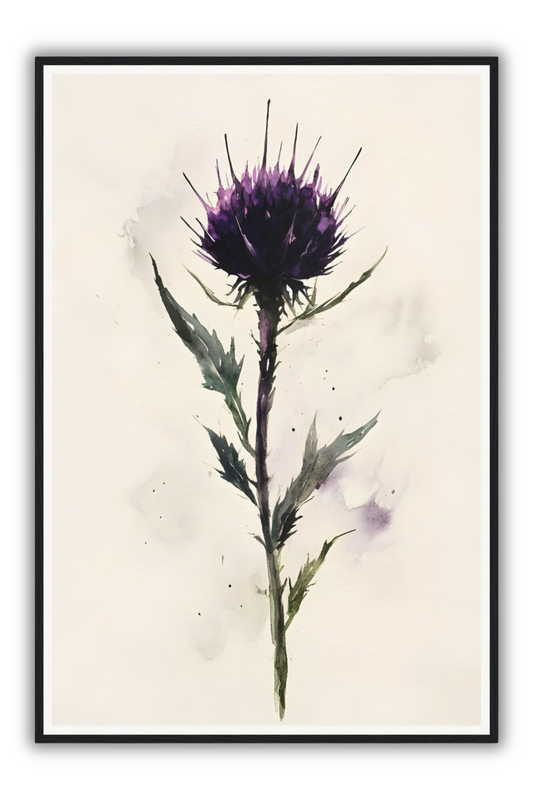 The Black Thistle